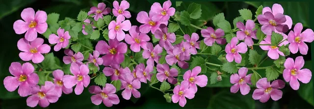 Photo de couverture du projet de newsletters de Toulouse FM